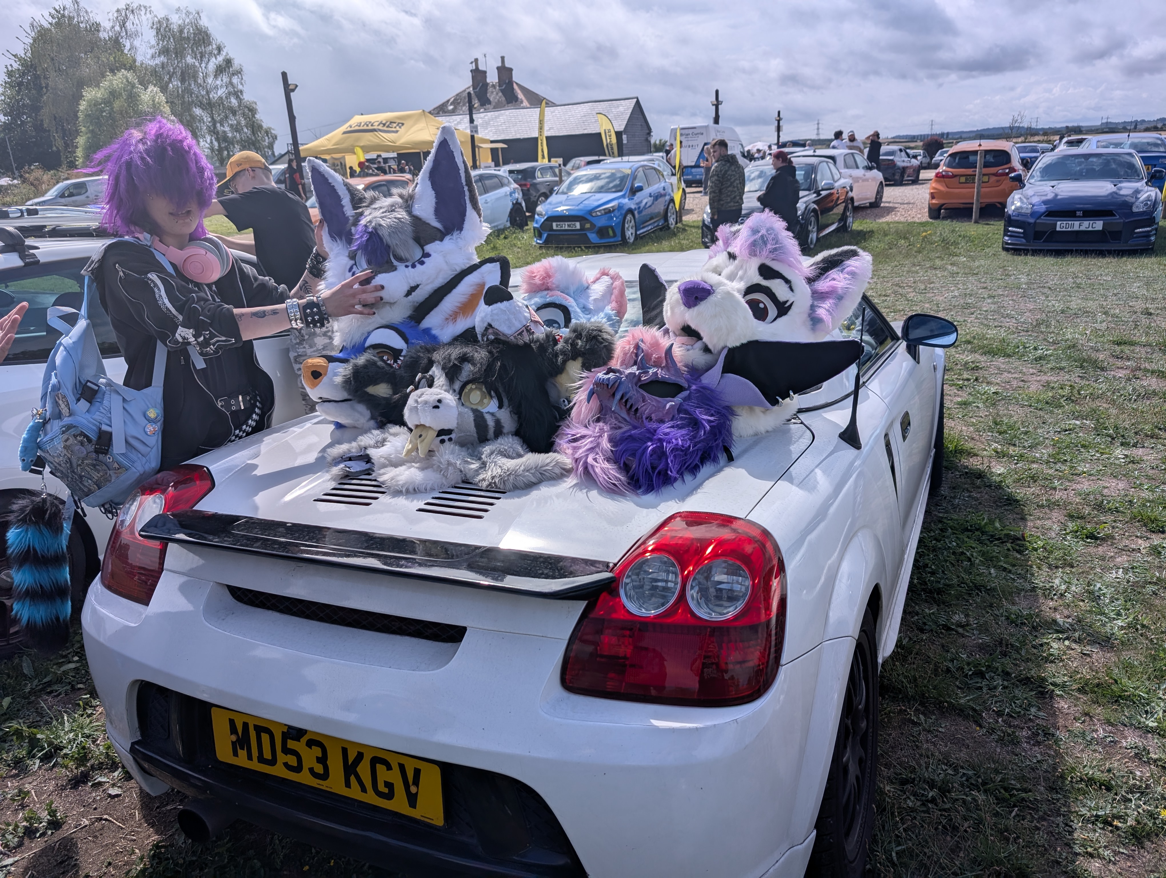 Paws'N'Pistons