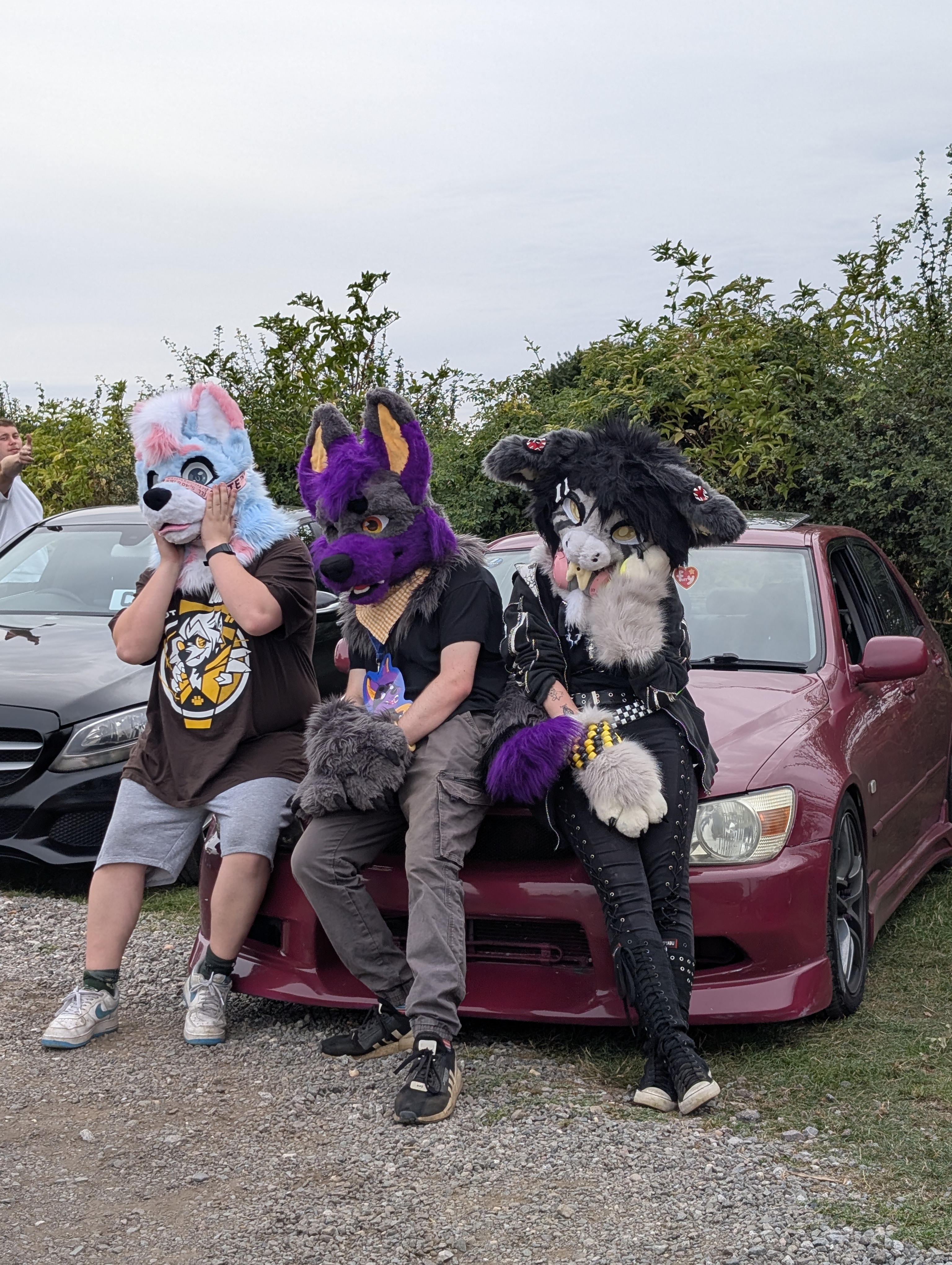 Paws'N'Pistons