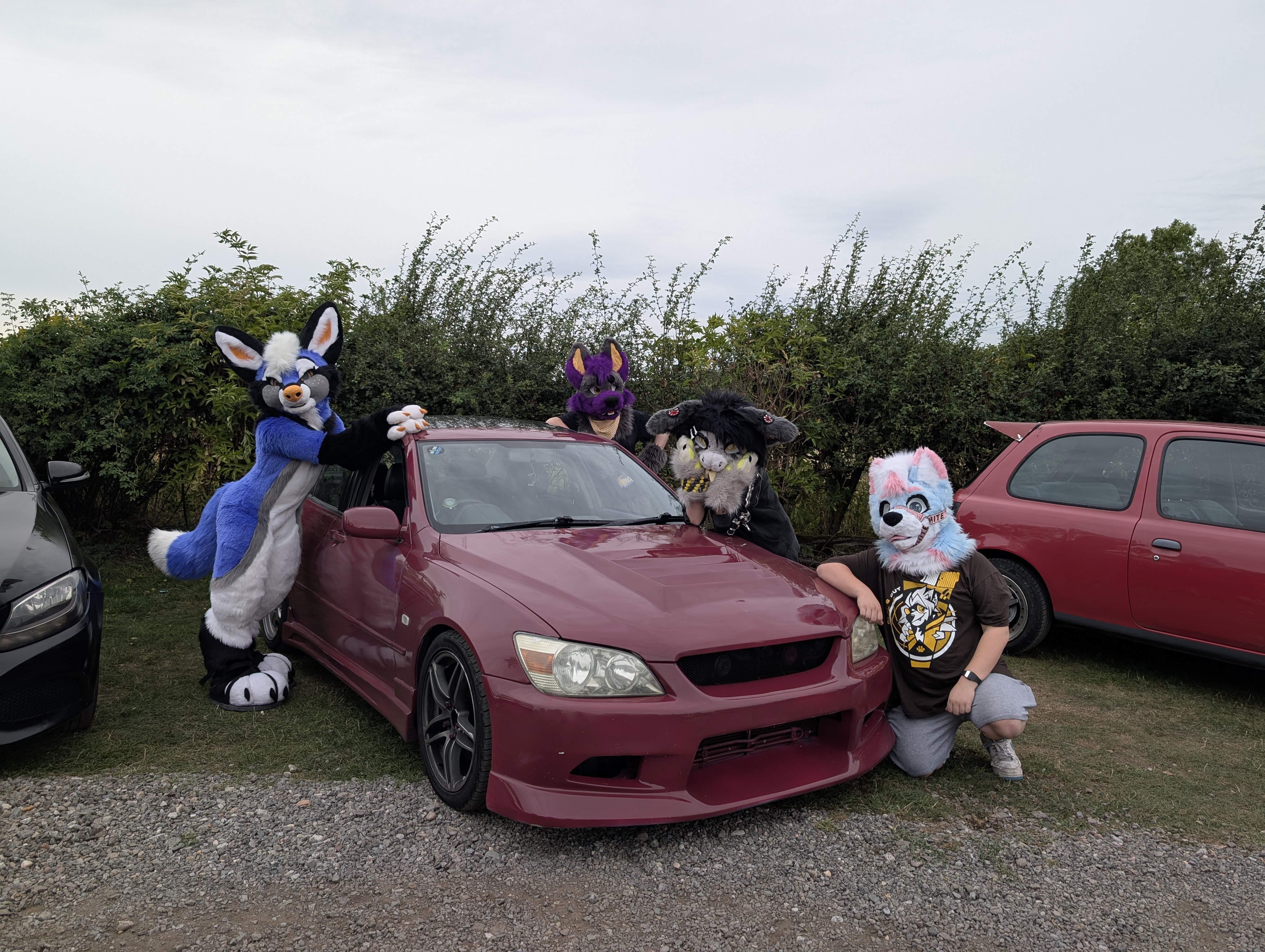 Paws'N'Pistons
