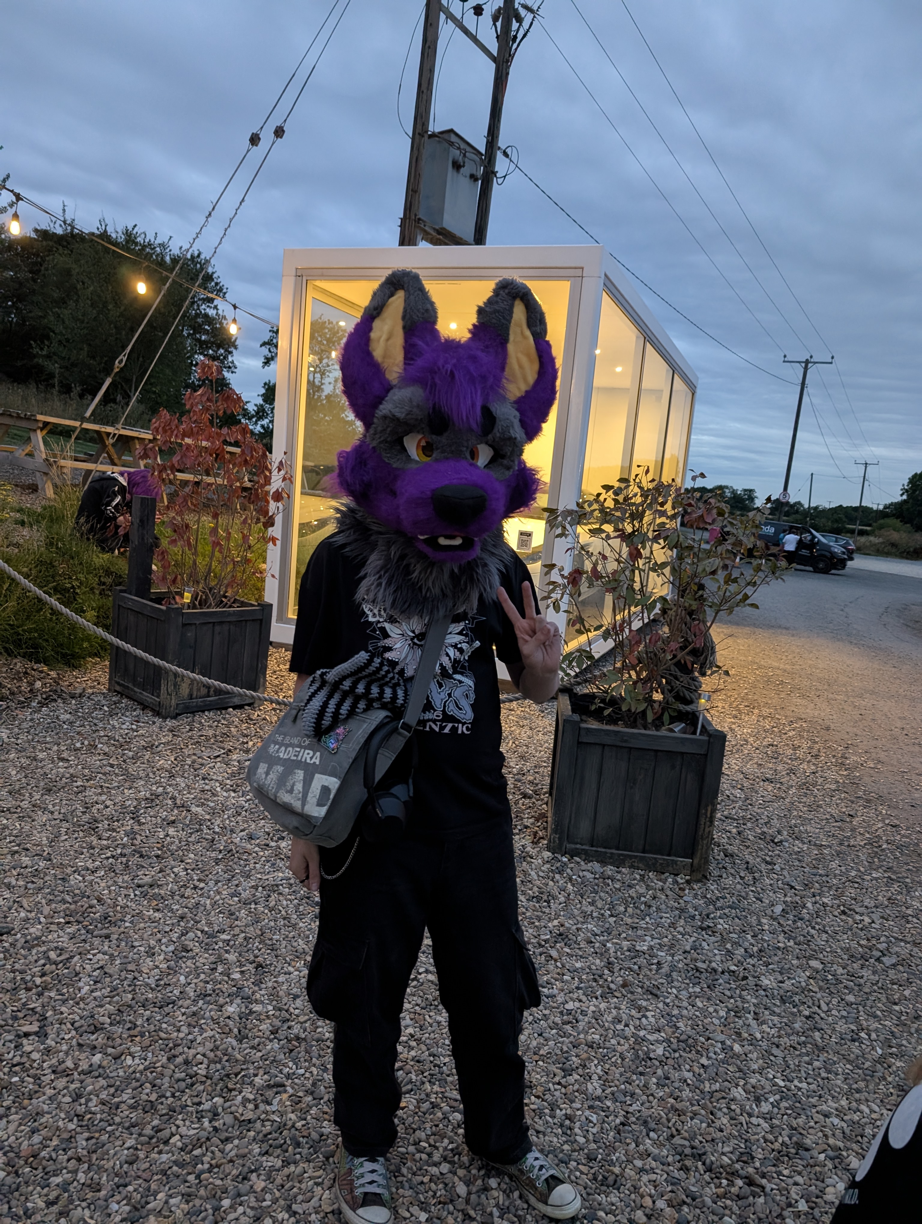 me in a fursuit